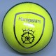 Hampshire Match Ball