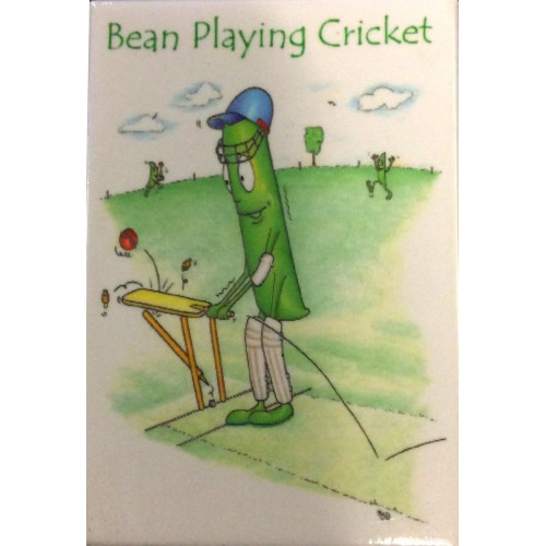 Bean Playing Cricket Magnet